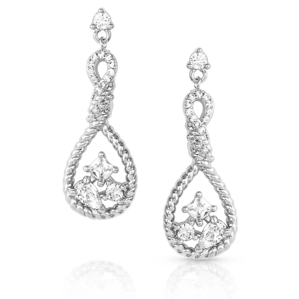 Corralling the Stars Crystal Earrings