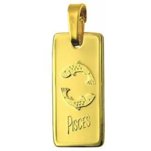 Genuine 9ct Yellow Gold or Fine Silver 20mm x 9mm Pisces Rectangle Zodiac